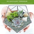 thumbnail image 6 of 20lb Green Zeolite for Plants, 3/8" Natural Succulent Potting Soil Amendments, Decorative Gravel for Cactus, Bonsai Gritty Rock, Pebbles Pumice for Vase Fillers, Top Dressing, 6 of 12
