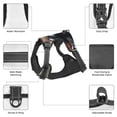 thumbnail image 6 of Lsque Forest Plant Raccoon Dog Harness, No-Pull Pet Harness with 2 Leash Clips, Adjustable Soft Padded Dog Vest with Easy Control Handle for Large Dogs-Medium, 6 of 9