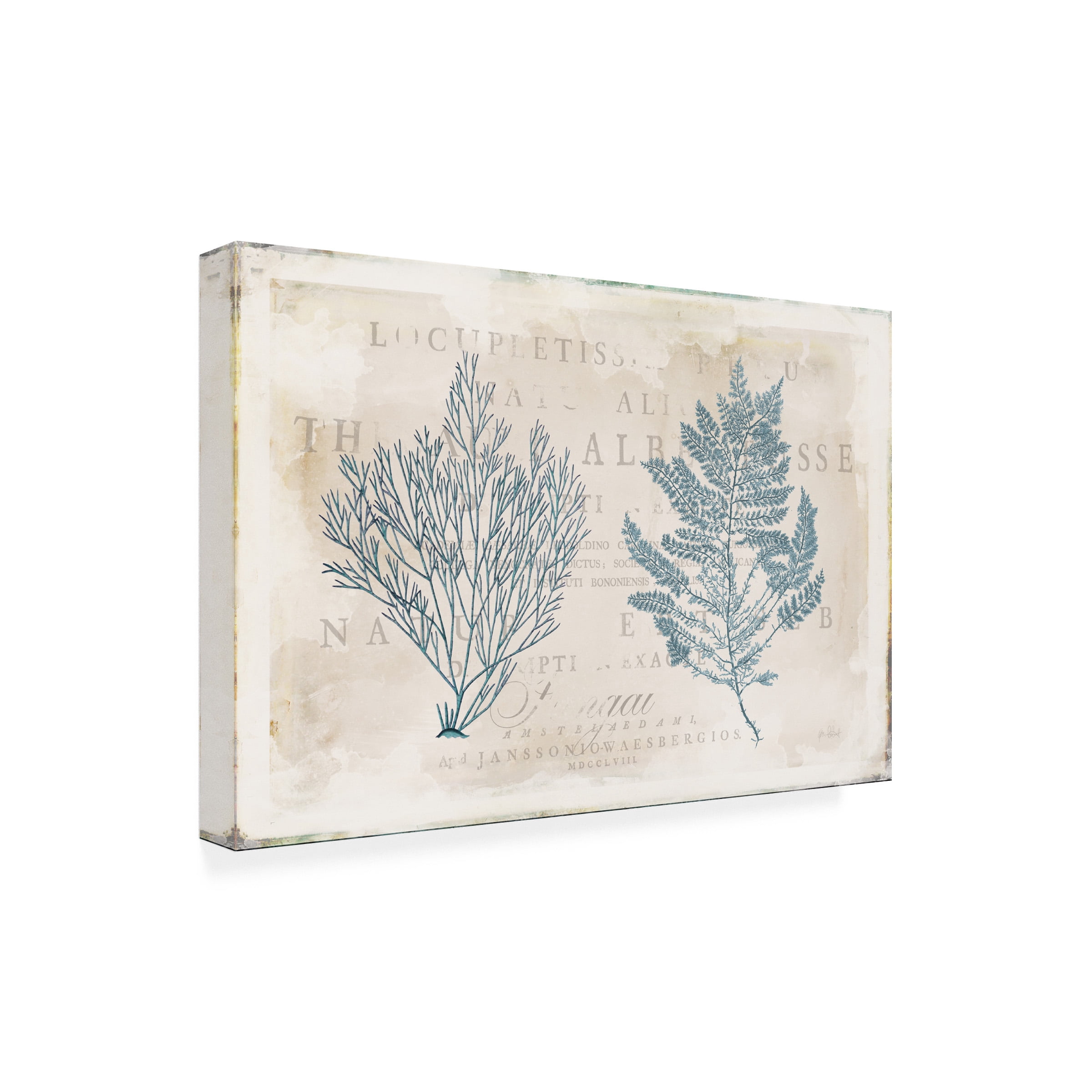 Katie Pertiet 'Sea Garden I' Canvas Art
