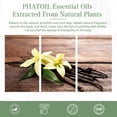 thumbnail image 6 of PHATOIL Vanilla Essential Oils for Diffusers Humidifier 100% Pure Natural Aromatherapy Massage Bath Sleep Relaxation 30ml/1.01 fl.Oz, 6 of 7