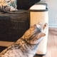 thumbnail image 5 of Rascador para Gatos - Protector para Esquina de sofá o sillón - Afilador de uñas de sisal para Mascotas - para el Lado Izquierdo en Gris, 5 of 8