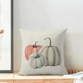 thumbnail image 2 of Fall Decor Pillow Covers 18X18 Inch Set of 2 Fall Throw Pillow Covers Autumn Pumpkin Cushion Cases Outdoor Thanksgiving Decorative Pillows for Couch Home Sofa Living Room, 2 of 5