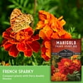 thumbnail image 4 of French Sparky Mix Marigold Seed - Heirloom Full Sun Annual Flower - 3 Packs, 4 of 9