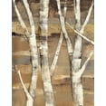 thumbnail image 2 of Hristova, Albena 26x32 Gold Ornate Wood Framed with Double Matting Museum Art Print Titled - Wandering Through the Birches I, 2 of 4