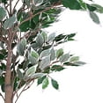 thumbnail image 4 of Christopher Knight Home 69" Artificial Ficus Tree in Black Plastic Pot, Pre-Potted Faux Greenery Tree for Home Decor, 4 of 9