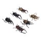 thumbnail image 3 of Juguete de Insectos Ticfox Juguete para Insectos 6 Piezas PVC, 3 of 12