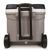 8034638 MAXCOLD COOLER GRY 60QRT Igloo MaxCold Gray 60 qt Cooler (Pack of 1)