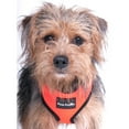 thumbnail image 5 of Peak Pooch No Pull Dog Harness for Large Dogs Orange, 15" Neck XL Dog Vest, 5 of 6