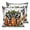 Orange Black, variant on Pillow Covers 20x20 Set of 2, Orange Pumpkins Throw Pillow Covers Decorative Couch Cushion Cover, Polka Dot Bow Fall Maple Leaves Plaid Microfiber Soft Square Pillowcases for Bedroom Living Room Sofa