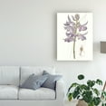 thumbnail image 3 of Trademark Fine Art 'Lavender Beauties III' Canvas Art by Edwards, 3 of 4