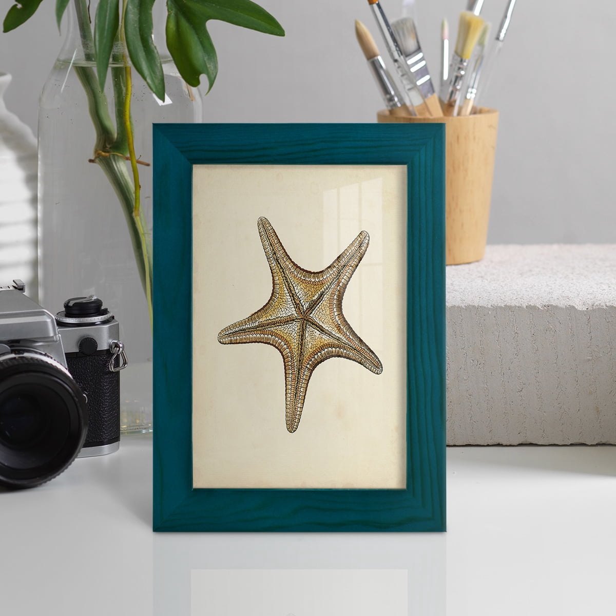 Sealife Collection IV - Framed Print w/glass - Ocean Blue