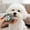 🔥 Green_New, variant on onlyliua Dual-Purpose Pet Grooming Comb Facial Fur Dematting And Flea Removal Tool Stainless Steel Pins Massage Teeth Self-Cleaning One-Button Release For Dogs And Cats Grooming
