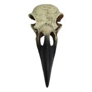 Komodo Raven Skull, Bone and Black Resin, Aquarium Decor
