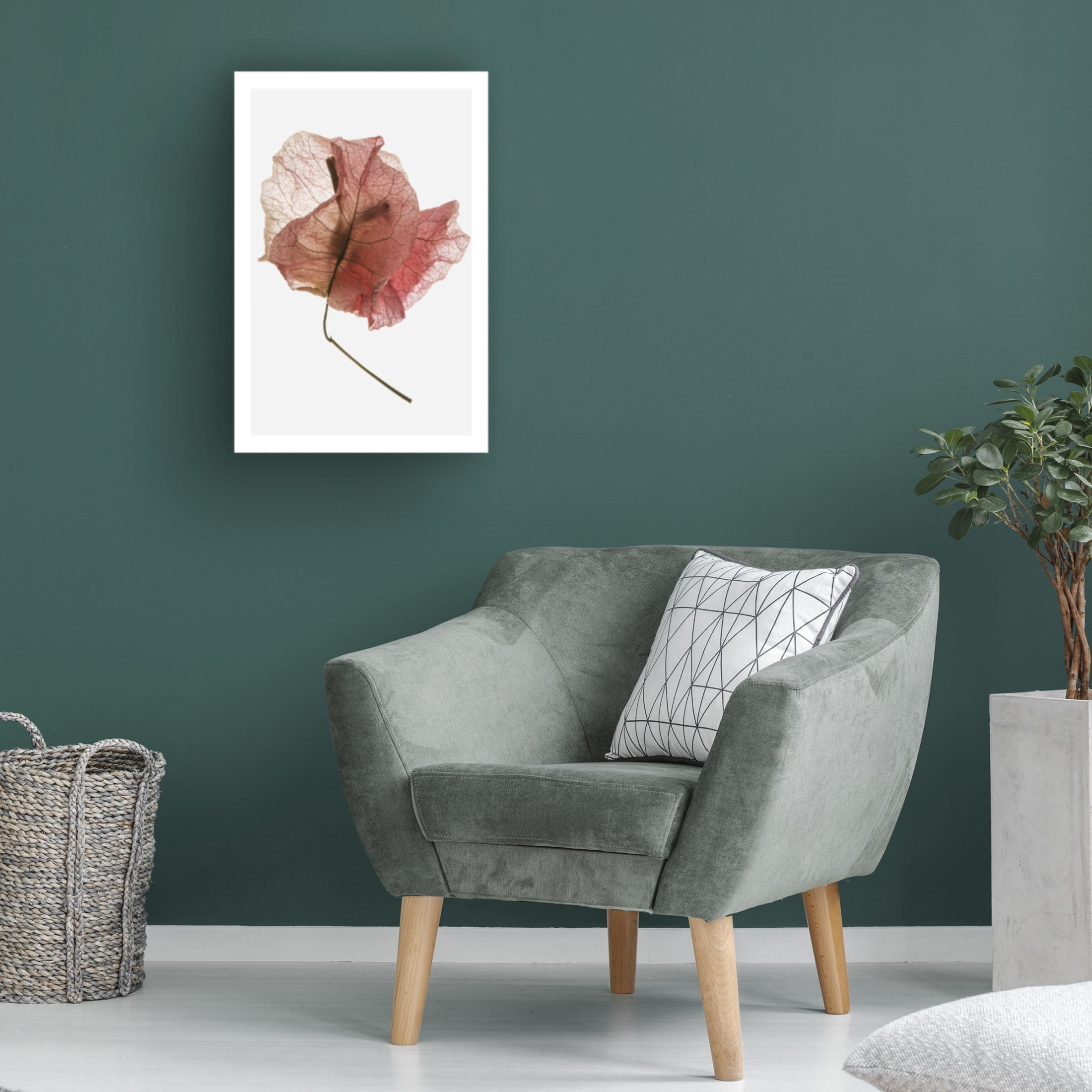 Trademark Fine Art Shot by Clint Bougainvillea Study No8 Canvas Wall Art