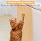 thumbnail image 5 of 2 Alfombrillas para rascar Gatos de Pared, 60 x 40 cm, de sisal Natural Grande, para Gatos, Autoadhesivas, para Gatos, para sofá, alfombras, Muebles y Puertas, protección contra arañazos (marrón), 5 of 7