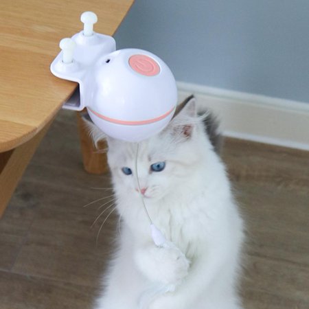 Noref Pet Cat Usb Teaser Electrique Jouet Drole Avec Tete De Remplacement De Cloche De Plume Jouets D Entrainement Interactifs Jouet Pour Chat Jouet De Teaser De Chat Electrique Walmart Canada Noref Pet Cat Usb Teaser Electrique Jouet Drole Avec Tete De Remplacement De Cloche De Plume Jouets D Entrainement Interactifs Jouet Pour Chat Jouet De Teaser De Chat Electrique Walmart Canada