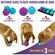 thumbnail image 2 of Pelotas Chew King Fetch de juguete para perros, duraderas, de caucho natural, 2 of 18