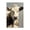Farmhouse Cow Gentle Gaze, variant on Stupell Industries Rustic Lodge Farmhouse Cow with Gentle Gaze Canvas Art, 16 x 24, by Creative Studio