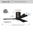 thumbnail image 6 of Matthews Fan Company IR3H-BB-BK-42 Irene 42" Brushed Bronze Hugger Ceiling Fan with 3 Matte Black Blades, Remote and Wall Control, Indoor/Outdoor Damp Rated, 6 of 6
