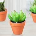 thumbnail image 6 of BESTONZON 20Pcs Small Mini Terracotta Pot Clay Ceramic Pottery Planter Cactus Flower Pots Succulent Nursery Pots Great for Plants Crafts Wedding Favor, 6 of 7