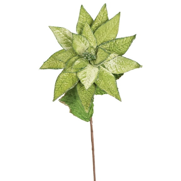 Vickerman 24" Artificial Lime Green Polyester Poinsettia Stem, pack of 3