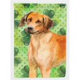 thumbnail image 1 of Carolines Treasures BB9850GF Rhodesian Ridgeback St.Patricks Flag - Garden Size, 1 of 3