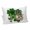 White, variant on St. Patrick's Day Pillow Covers King, Ombre Green Shamrock Gold Lucky Love Spring Soft Brushed Microfiber Breathable Throw Pillow Covers, Pillowcase with Zipper for Couch Sofa Bedroom 20"x36"