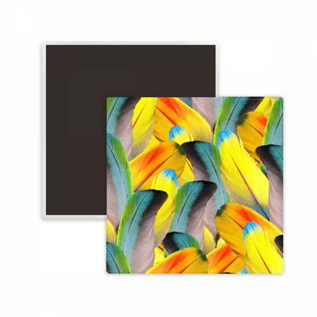 

Feather Colorful Flower Sunlight Square Ceracs Fridge Magnet Keepsake Memento