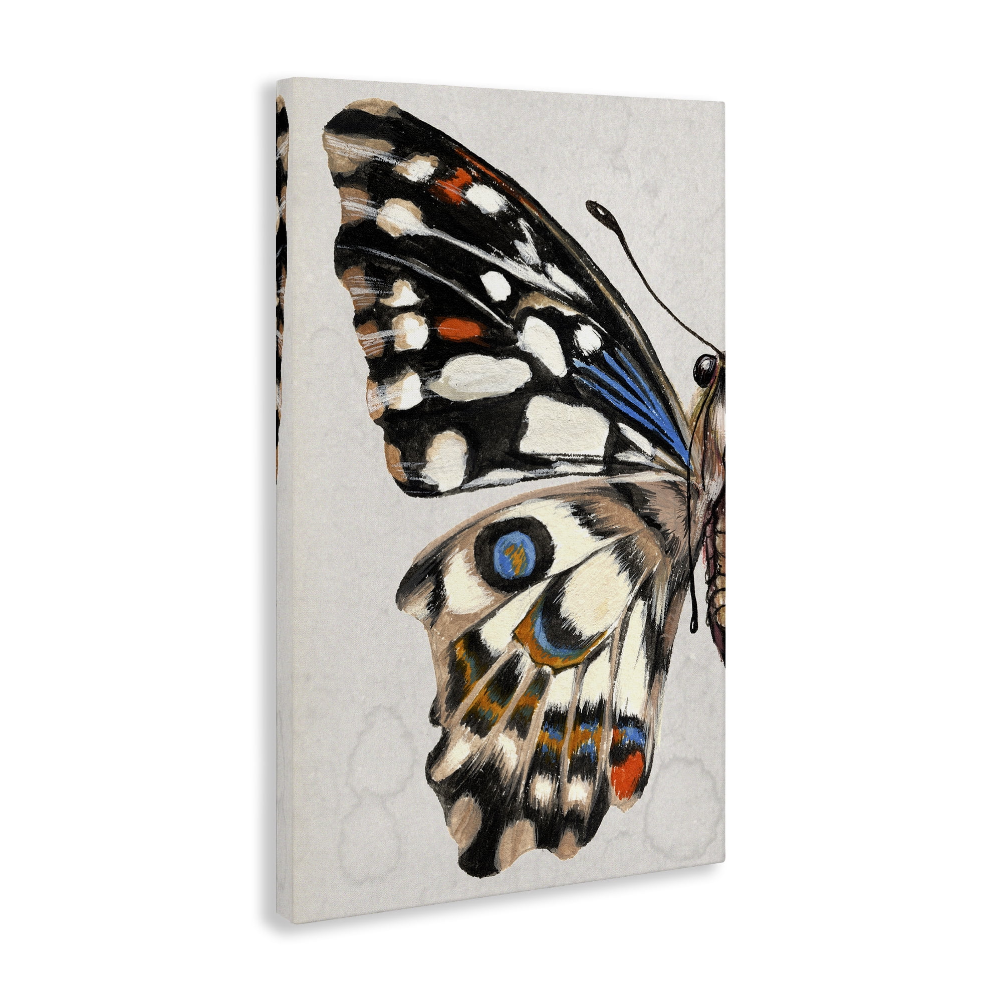 Stupell Industries Spotted Butterfly Wing Animals & Insects Painting Gallery Wrapped Canvas Art Print Wall Art, 20 x 30