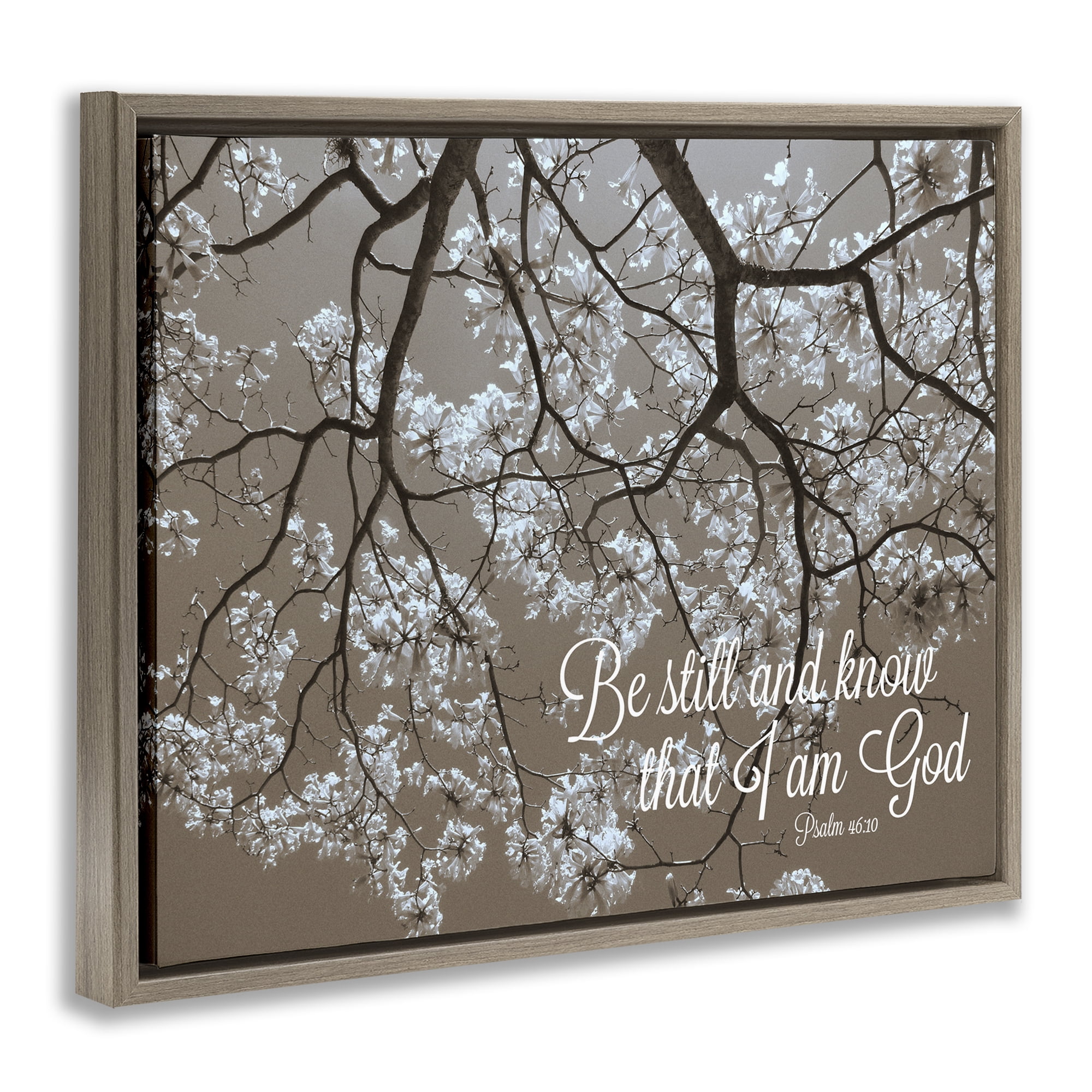 Stupell Industries Be Still Apple Blossoms Brown Framed Floater Canvas Wall Art, design by Gail Peck