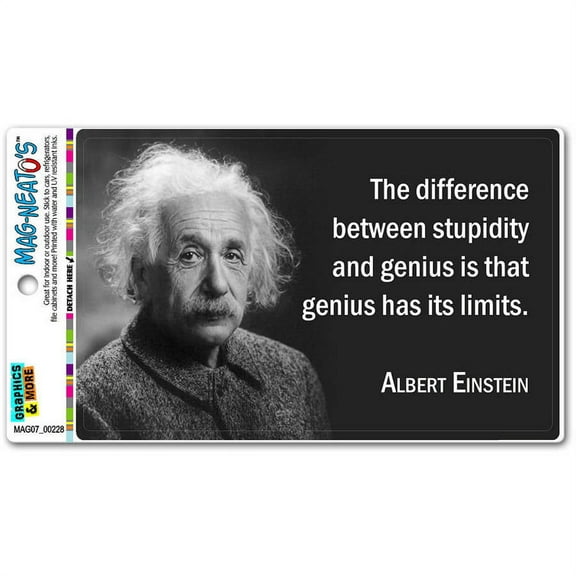 Stupidity Genius Has Limits Einstein Funny Automotive Car Refrigerator Locker Vinyl Magnet
