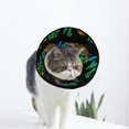 thumbnail image 1 of Paris France Turtle Soft Cat Dog Recovery Collar Adjustable Cat Cone Wound Healing Protective After Surgery for Large/Medium/Small Dogs Cat, 1 of 7