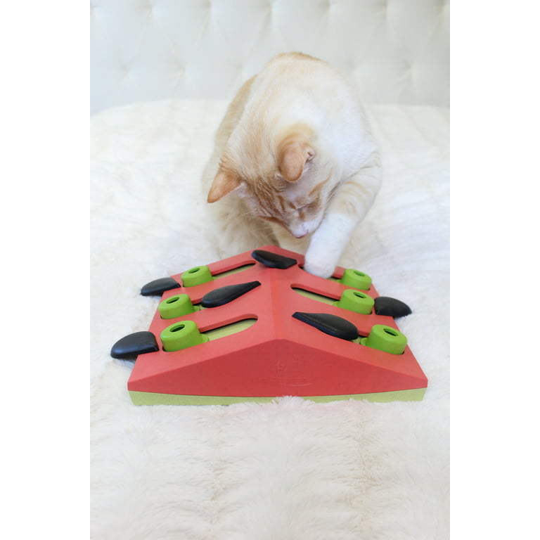Sliders: Ever-changing Treat Puzzle for Cats from Cat Amazing
