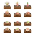 thumbnail image 1 of 12 Uds flocado Rosa simulación flor suculenta cabeza arreglo floral accesorios DIY suministros plantas verdes artificiales, 1 of 5