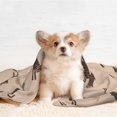 thumbnail image 4 of Yiaed Leopard Print Print Dog Blankets-Cat Blanket Washable for Couch Protection,Puppy Blanket, Soft Plush Reversible Throw Furniture Protector-Small, 4 of 8