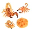 thumbnail image 2 of 1 Set Life Cycle Toy Household Simple Simulation Model Educational Toys Exquisite Interesting Scorpion Models for Home School Brown, 2 of 9