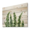 thumbnail image 2 of Designart 'Fern Plant Leaves Detail II' Farmhouse Print on Natural Pine Wood, 2 of 5