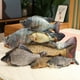 thumbnail image 4 of 30-100cm Simulation Funny Fish Plush Toys Stuffed Soft Animal Carp Plush Pillow Creative Sleep Cushion for Kids Girls Xmas Gift, 4 of 5