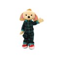 thumbnail image 5 of Sharewood Forest Friends 18 Inch Rag Doll Dougie the Dog, 5 of 9