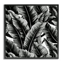 Stupell Industries Black Bold Fronds Botanical & Floral Painting Gray Framed Art Print Wall Art, 12 x 12