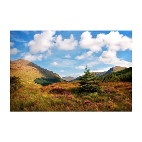 Mountain Pastoral. Rest and Be Thankful. Scotland - Scotland United Kingdom Photography Unframed Wall Art Print 5 x 7 inches