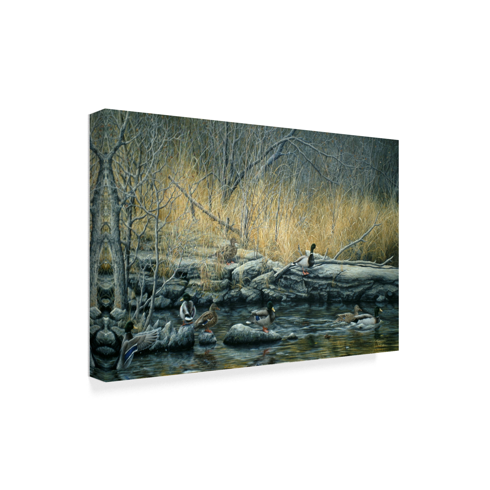 Trademark Fine Art 'Early Morning Mallards' Canvas Art by Jeff Tift