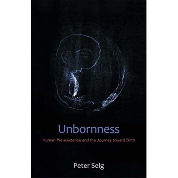 Pre-Owned Unbornness: Human Pre-Existence and the Journey Toward Birth (Paperback) 0880107189 9780880107181
