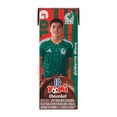 thumbnail image 1 of Leche saborizada Lala Yomi Chocogol 190 ml, 1 of 5