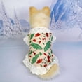 thumbnail image 3 of Valentine Dog Cat Dress, Pet Dog Clothes Valentine's Day Summer Cute Cherry Strawberry Dress Pet Supplies Dog Dress Valentine'S Day Pet Clothes Cute Cherry Strawberry Small And Medium Dog Pet Skirt, 3 of 7