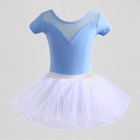 REDARER Girls Ballet Dance Tutu Dress Short Sleeve Mesh V-Neck Leotard with Tulle Skirt Performance Outfit for Jazz Recital Practice Kids 11-12 Years