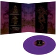thumbnail image 4 of Todd Rundgren - Todd Rundgren & Friends (Purple) - Music & Performance - Vinyl, 4 of 4