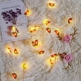 thumbnail image 4 of Cadena De Luces LED, 20 Luces LED De Hadas Para Decoración Del Hogar, Fiestas, Bodas, Navidad, 4 of 7
