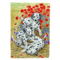 Carolines Treasures ASA2071GF Dalmatian Pups Flag Garden Size  Small multicolor