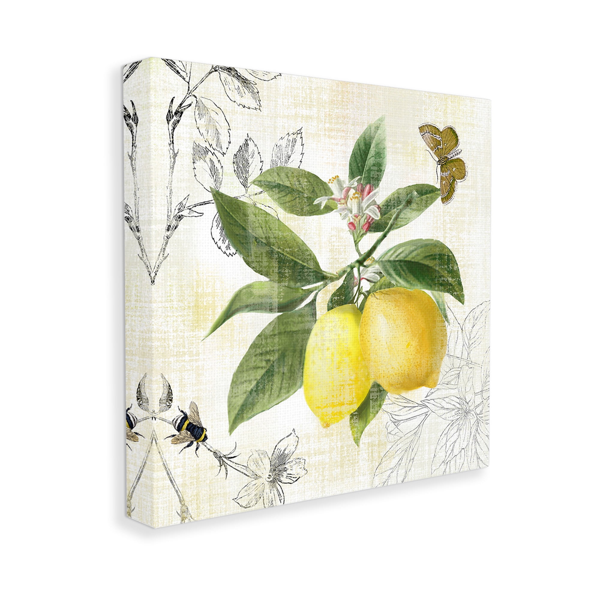 Stupell Industries Vintage Lemon Pattern Food & Beverage Painting Gallery Wrapped Canvas Art Print Wall Art, 24 x 24